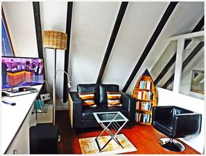 Televisión, reproductor de DVD, libros y biblioteca musical 