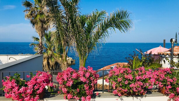 A balcony with pink flowers, a palm tree, and a view of the sea. - Blue 54 - Seaside house with terraces overlooking the sea, Etna and Taormina (Pozzillo)