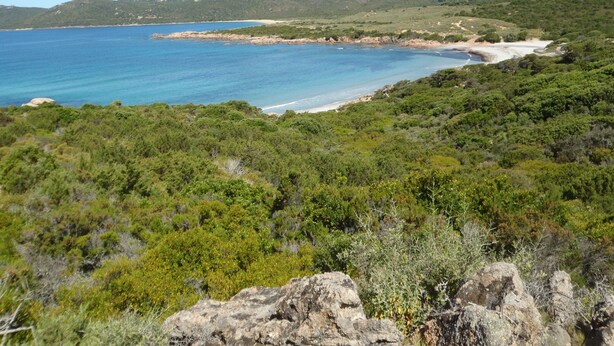 A coastal landscape with dense greenery, a beach, and hills in the background. - GROUND FLOOR ALL COMFORT NEAR THE SEASIDE IN MOLINI-AGOSTA (Albitreccia)