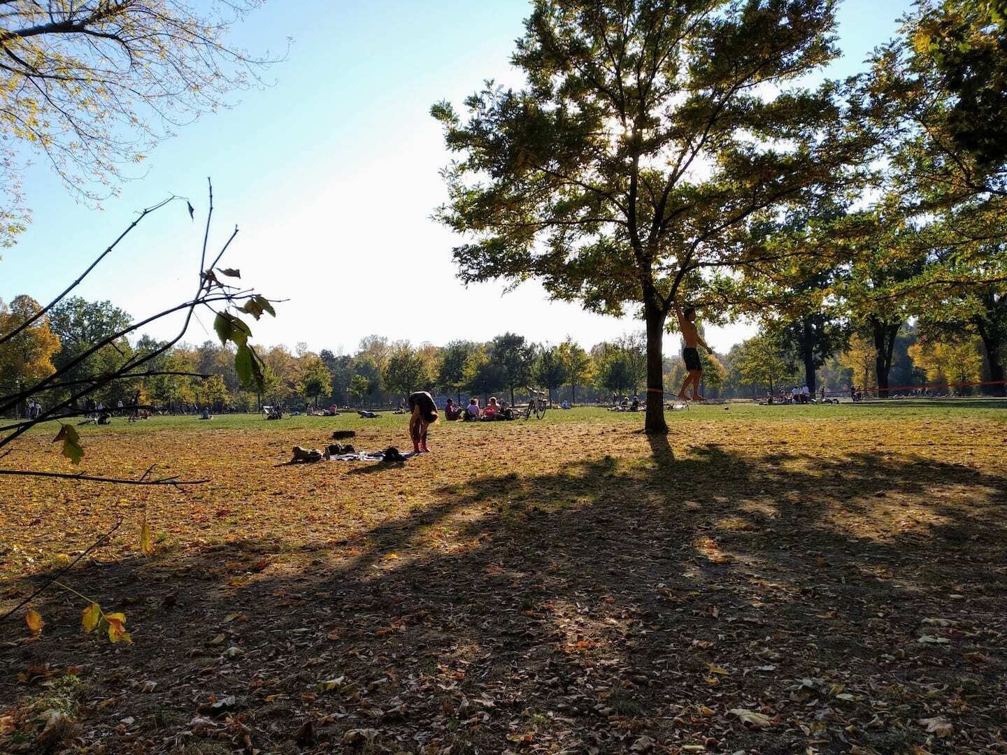 Ulkoilupuisto, jossa on puita, nurmialue ja ihmisiä.