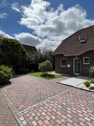 Holiday herring gull in Greetsiel