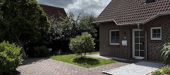 Holiday herring gull in Greetsiel