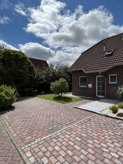 Holiday herring gull in Greetsiel