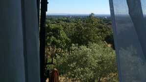 Vista da janela sobre uma paisagem arborizada sob um céu claro.