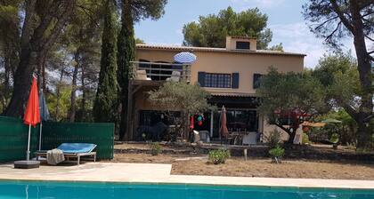Between Ventoux and Luberon