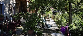 Beautiful House in the hills near Lucca - Pet Friendly -