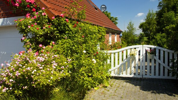 A house with a red roof, white fence, and blooming flowers. - "Idyllic house on the Wadden Sea - peace, nature & adventure for 2- and 4-legged friends" (Jemgum)