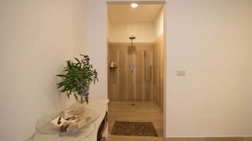 Shower, hair dryer, bidet, towels
