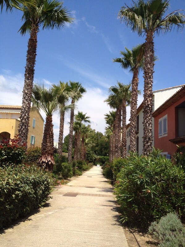 المنطقة المحيطة بالمنشأة