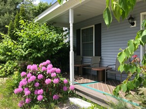 A porch with a covered seating area, a potted plant, and a window with shutters.