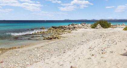 Dein Platz im Paradies! Strand-, Pool-, Tauch-und LKW-Vermietung Rabatte!