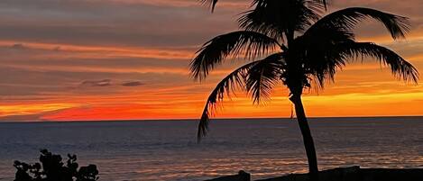 Platja a a prop, gandules de platja i tovalloles de platja