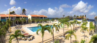 Jouw plek in het paradijs! Korting op strand, zwembad, plus duiken en truckverhuur!