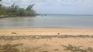 Une plage avec une eau claire, un rivage sablonneux et quelques rochers.
