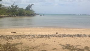 Enjoy a serene beach experience with calm waters and a lush shoreline.