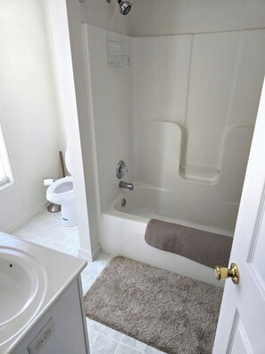 Bathroom - Blue Ridge Beauty Home Dog Friendly, Walk to Rivers, A.T. Trail, & HF. NEW LVP (Bolivar)