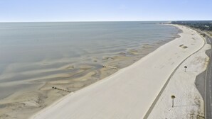 A beach with a paved walkway and palm trees. - Finley House with Beautiful Gulf View (Gulfport)