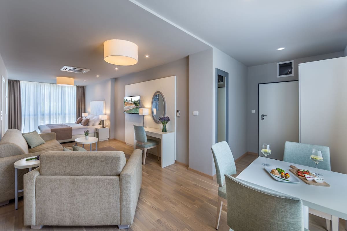 Studio Superior Apartment | Oppholdsområde | Flatskjerm-TV