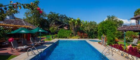 A rectangular swimming pool with a stone border, surrounded by lounge chairs and umbrellas, with lush greenery and a clear blue sky in the background.