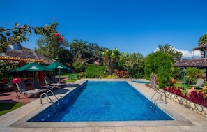 Una piscina rectangular con borde de piedra, rodeada de sillas de descanso y sombrillas, con abundante vegetación y un cielo azul despejado al fondo.