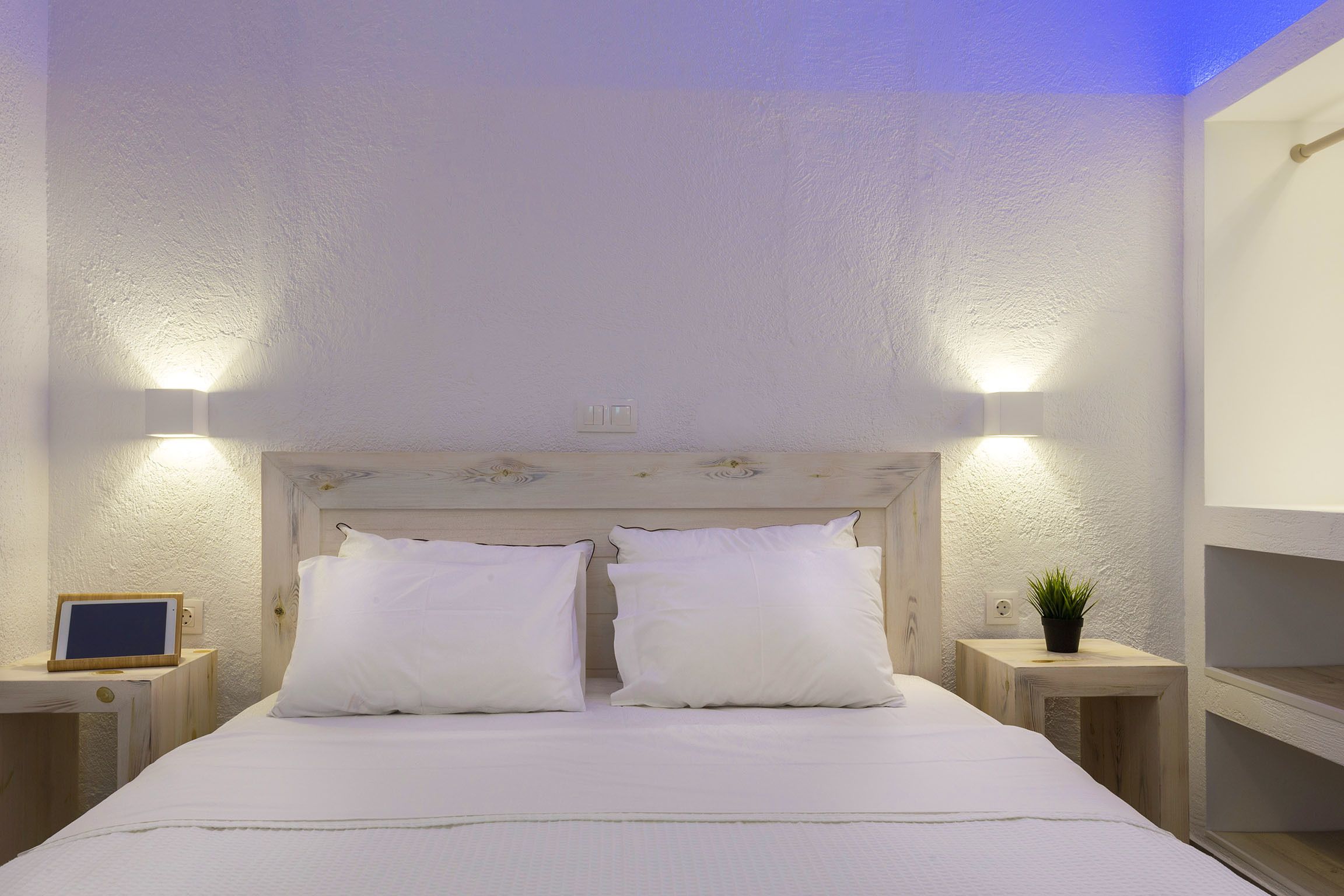 A neatly made bed with white linens and pillows, two bedside tables with lamps, and a small potted plant on one table.