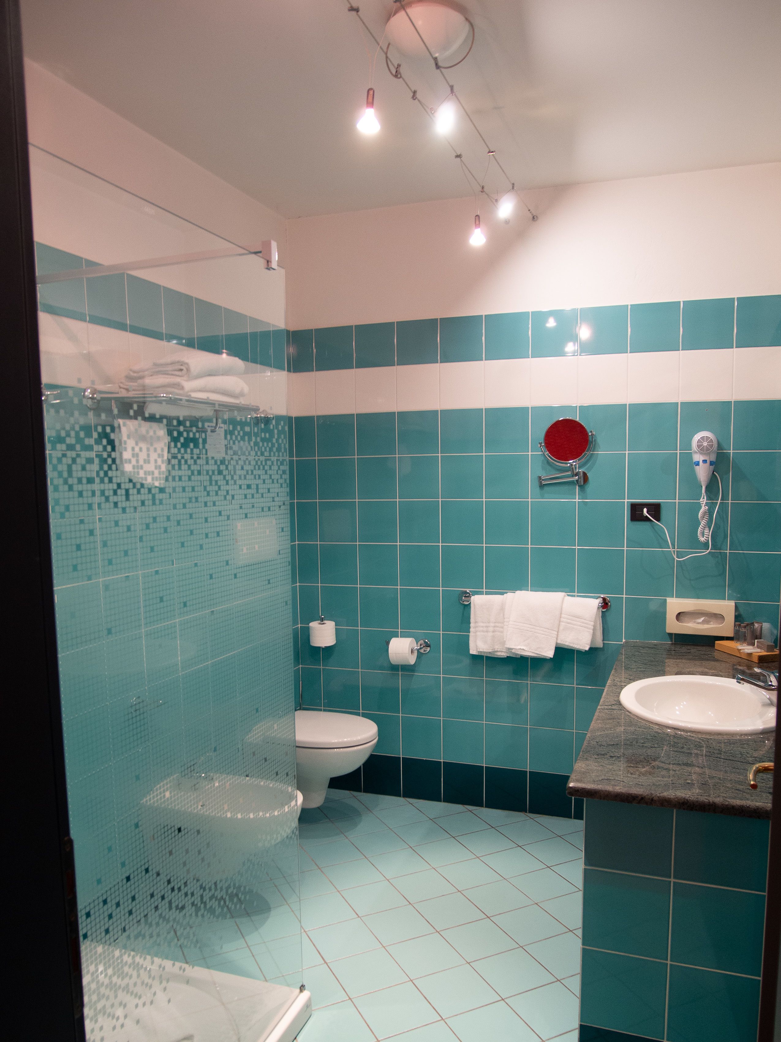 suite | bathroom shower