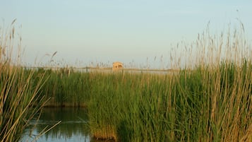 Un cos d'aigua tranquil·la envoltat d'herbes altes i una estructura llunyana.