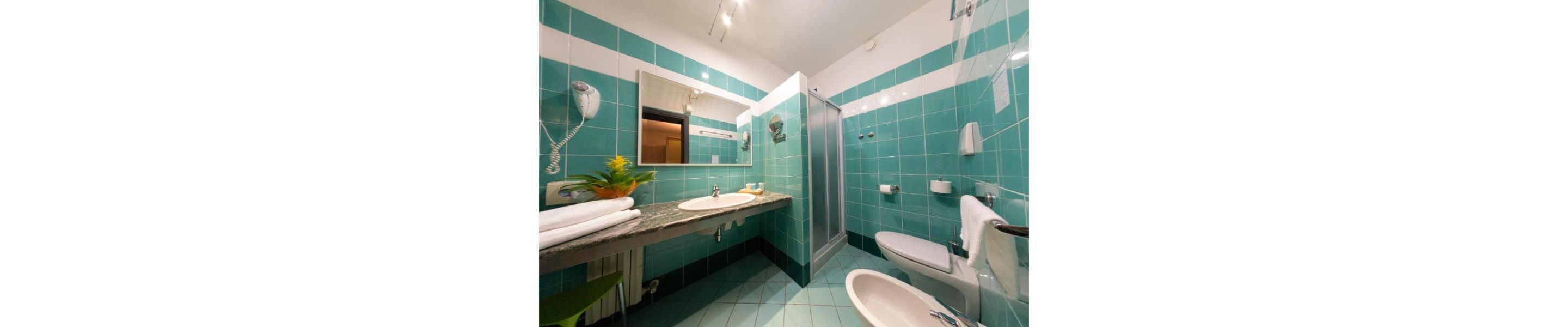 double room | bathroom | free toiletries, hair dryer, bidet, towels