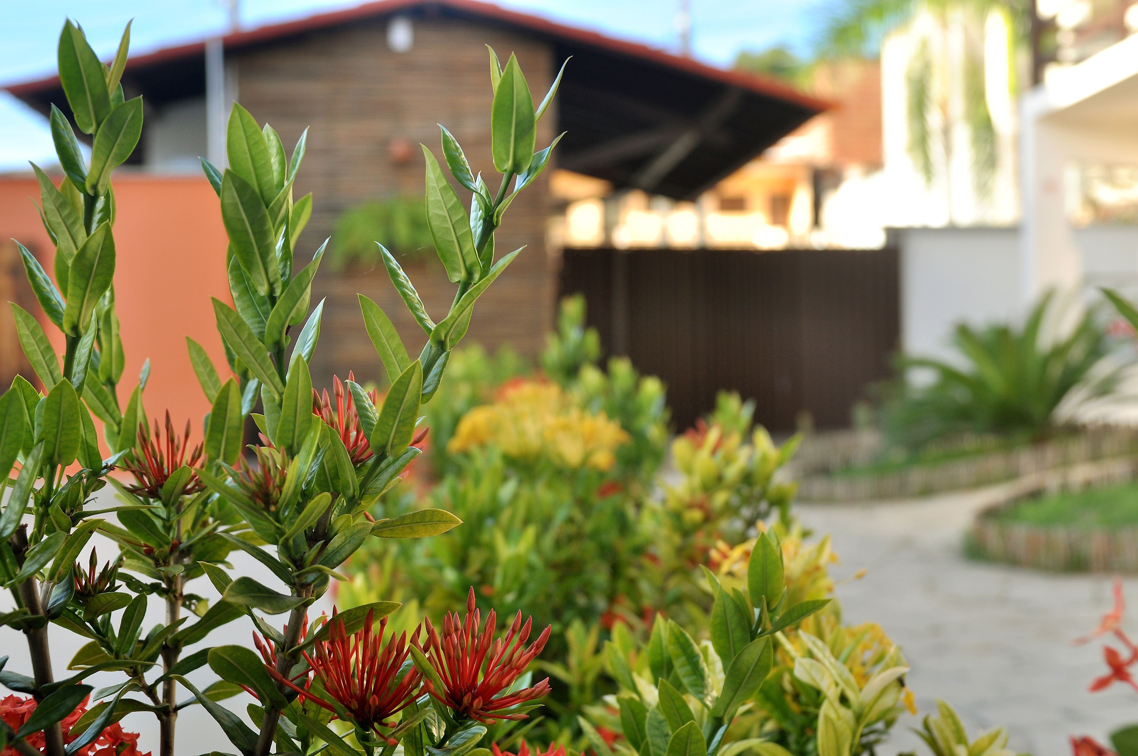 Foto - Oxente Travel Apart Hotel