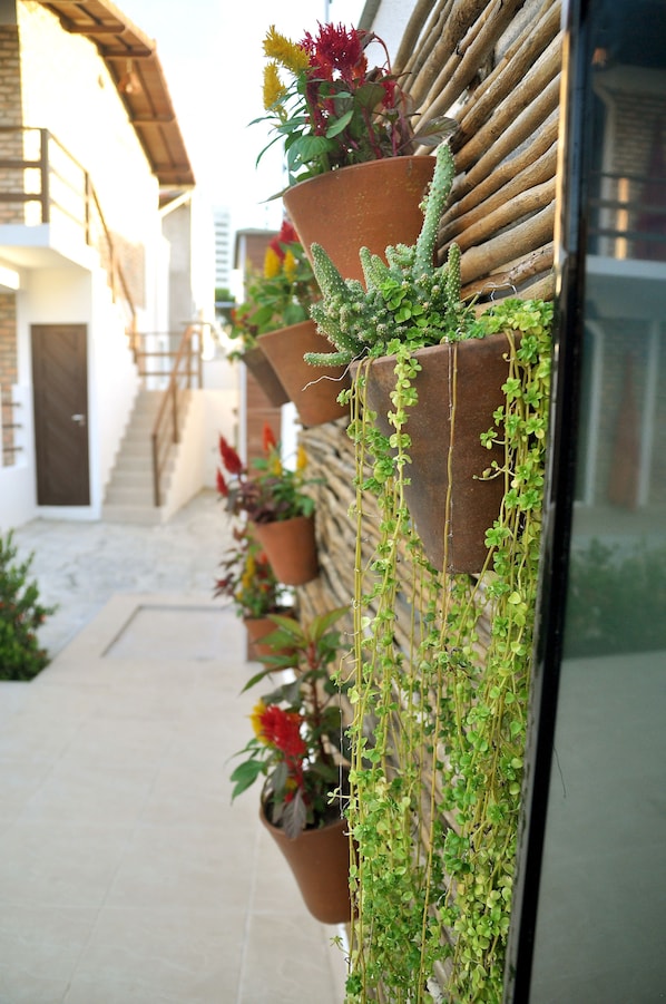 Una hilera de macetas colgantes con diversas plantas y flores a lo largo de la pared exterior de un edificio.