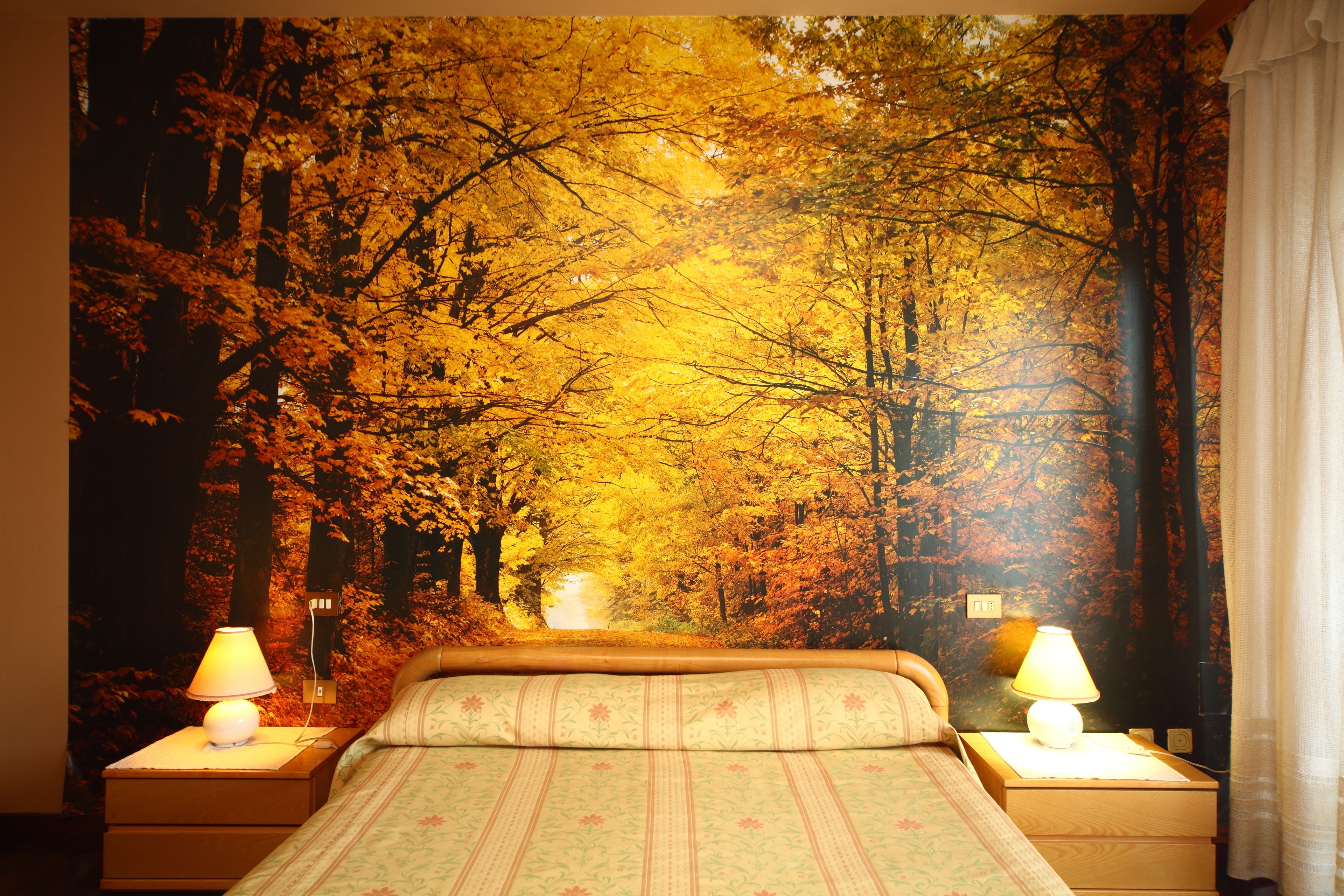 Foto - B&B Francesco in Assisi