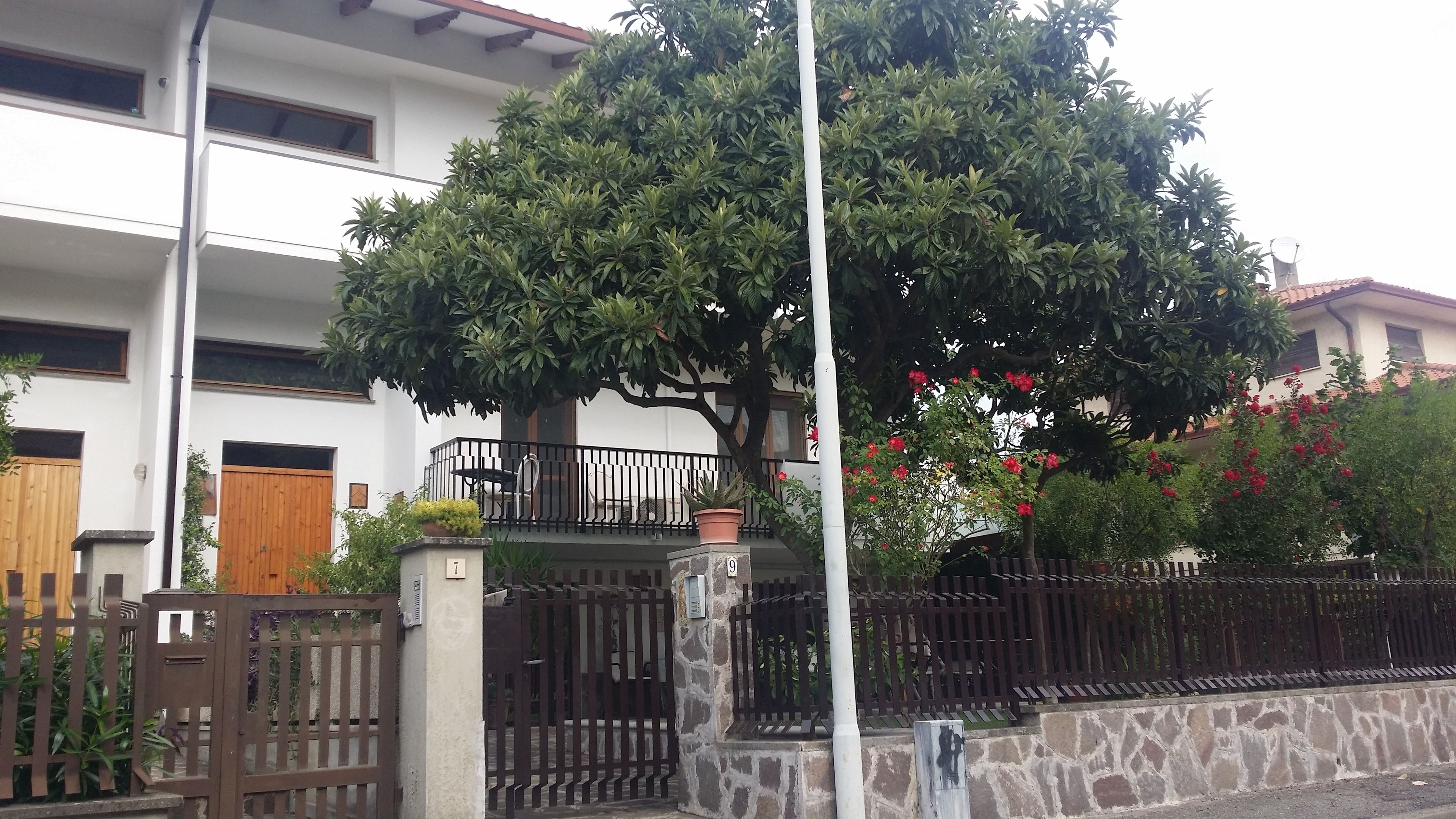 Foto - B&B Francesco in Assisi