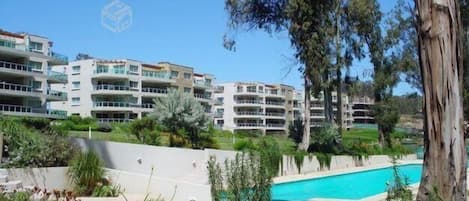 Outdoor pool, pool loungers