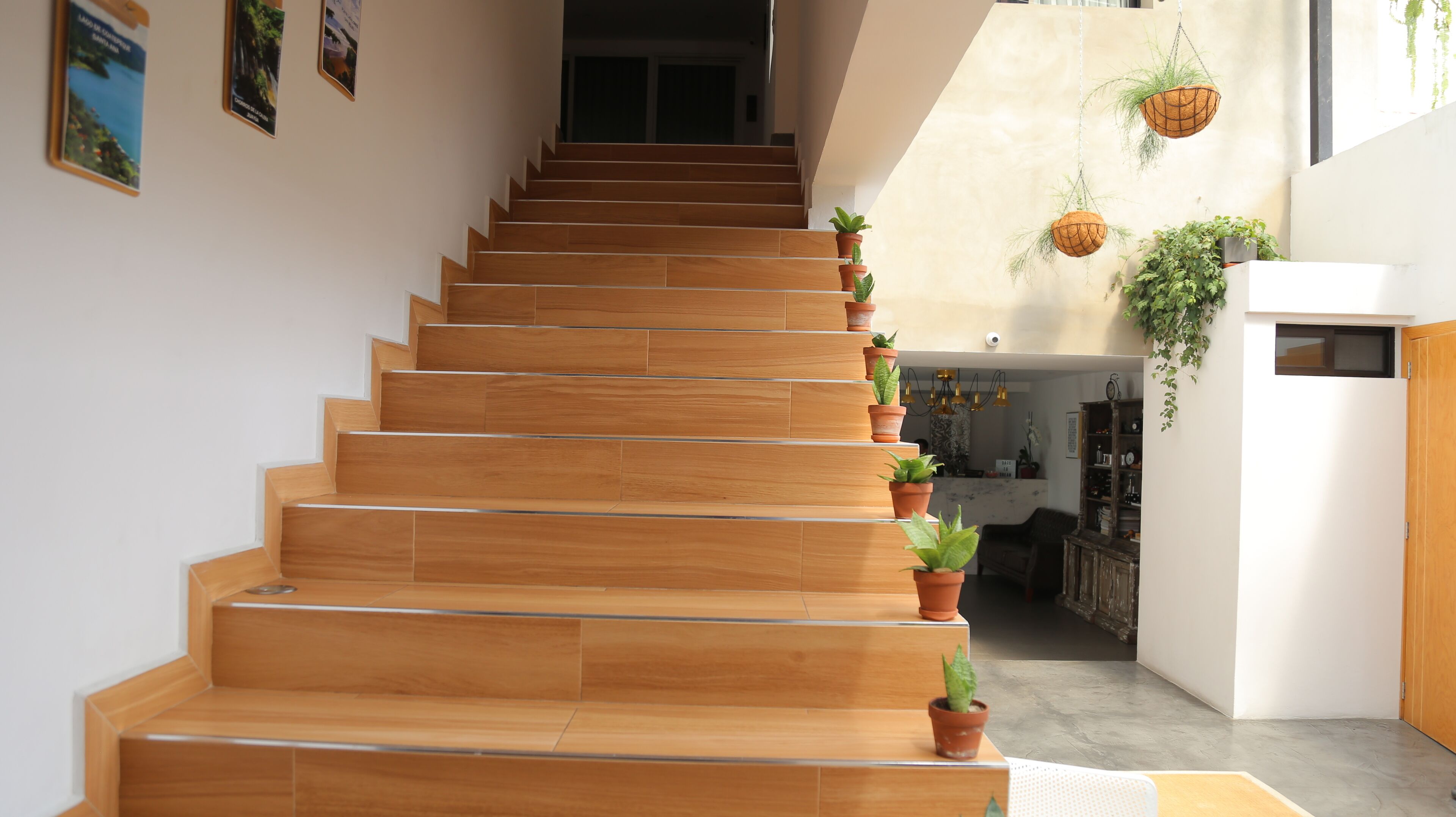 Foto - Kaleo Hotel Boutique