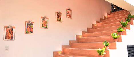 A staircase with wooden steps and potted plants.