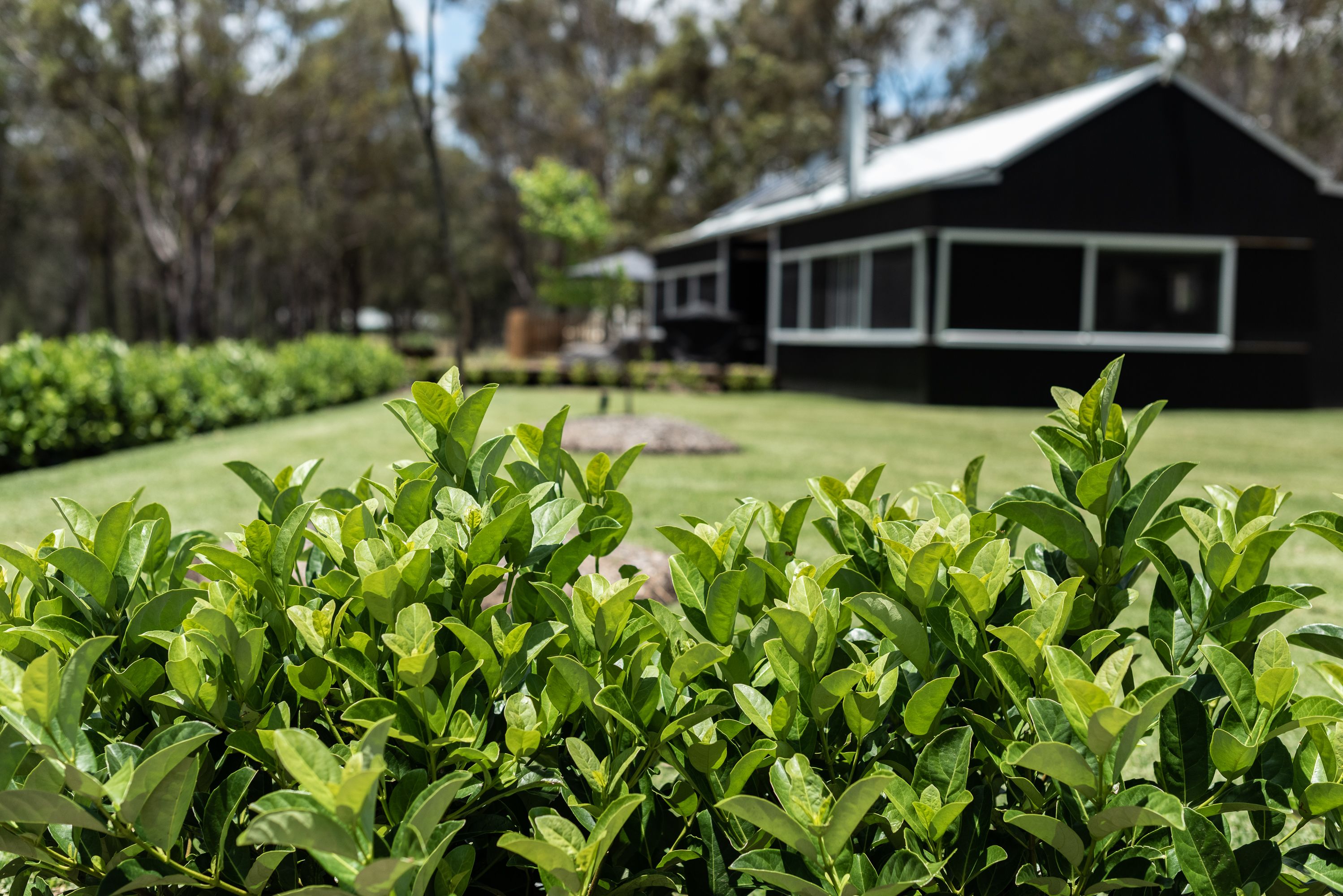 ラグジュアリー ハウス キングベッド 1 台 レイクビュー