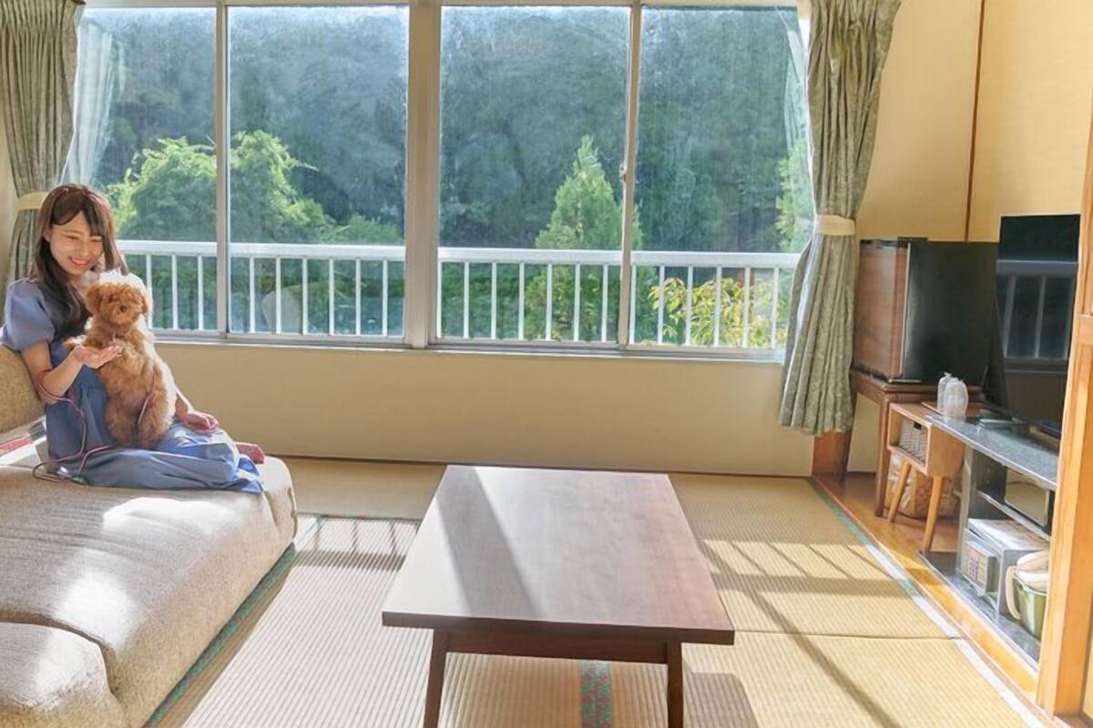A room with a sofa, a wooden coffee table, a television, and a view of trees through large windows.