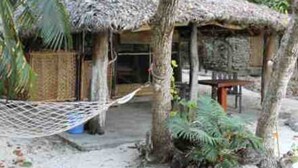 A thatched-roof hut with a hammock, surrounded by trees and plants. - Tranquility Island Resort (Moso Island)