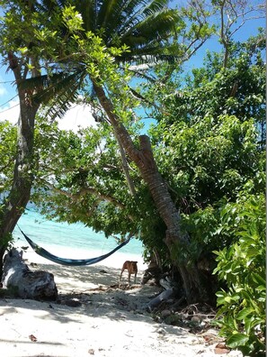 En la playa, camastros, buceo y snorkel