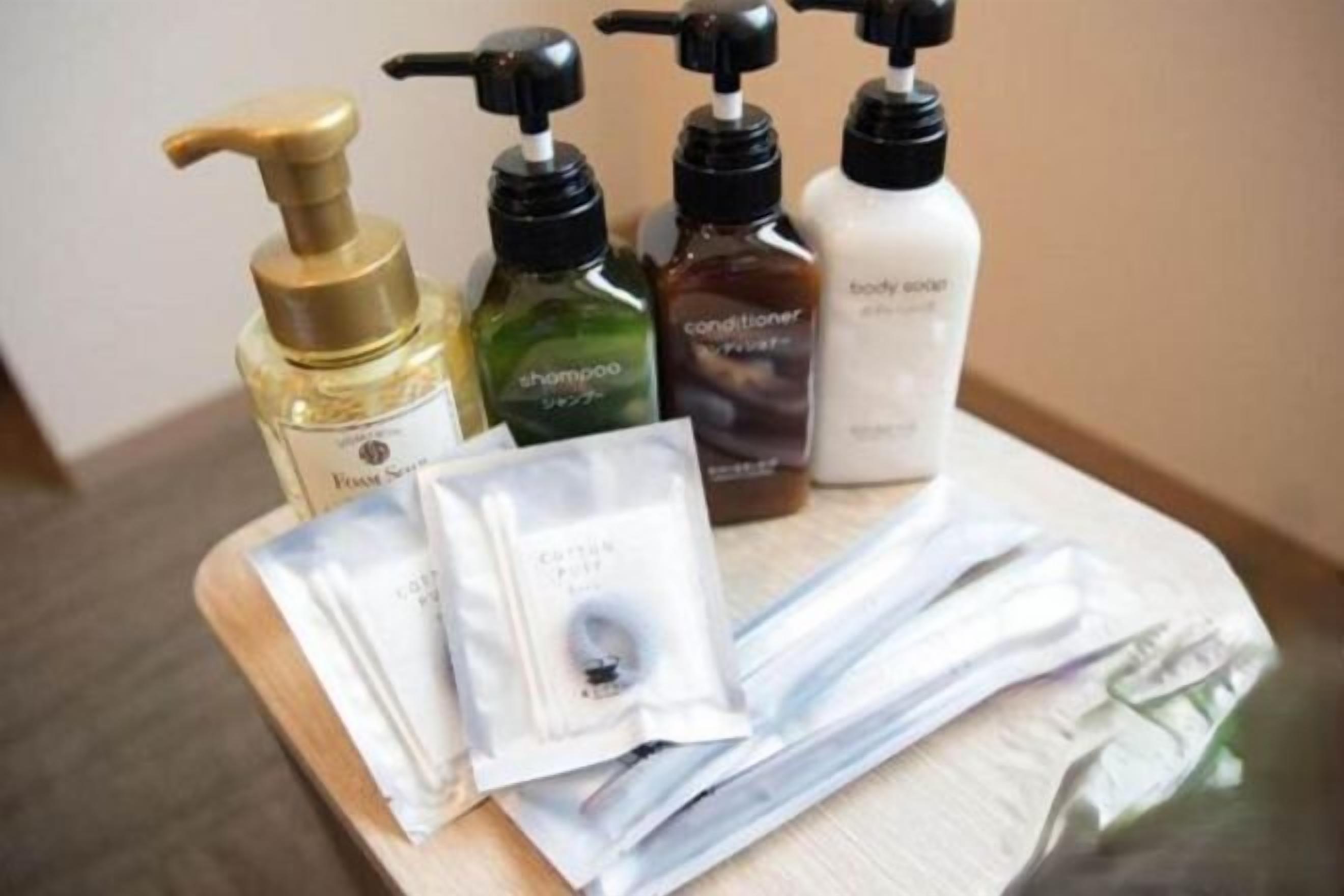 Bathroom amenities | Combined shower/bathtub, hair dryer, slippers, bidet