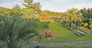 A lush garden with palm trees, a picnic area, and stone pathways. - The Areumdaun Pension (Seogwipo)