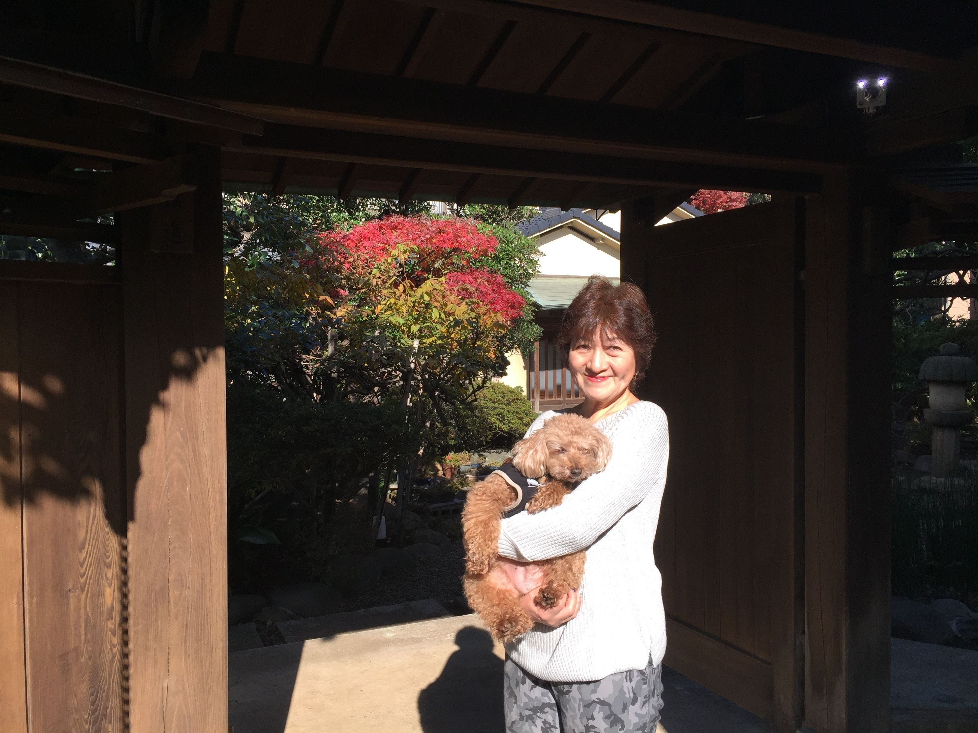 Une personne tenant un chien dans un espace extérieur abrité, doté d’une structure en bois et d’un jardin avec des plantes aux couleurs vives.