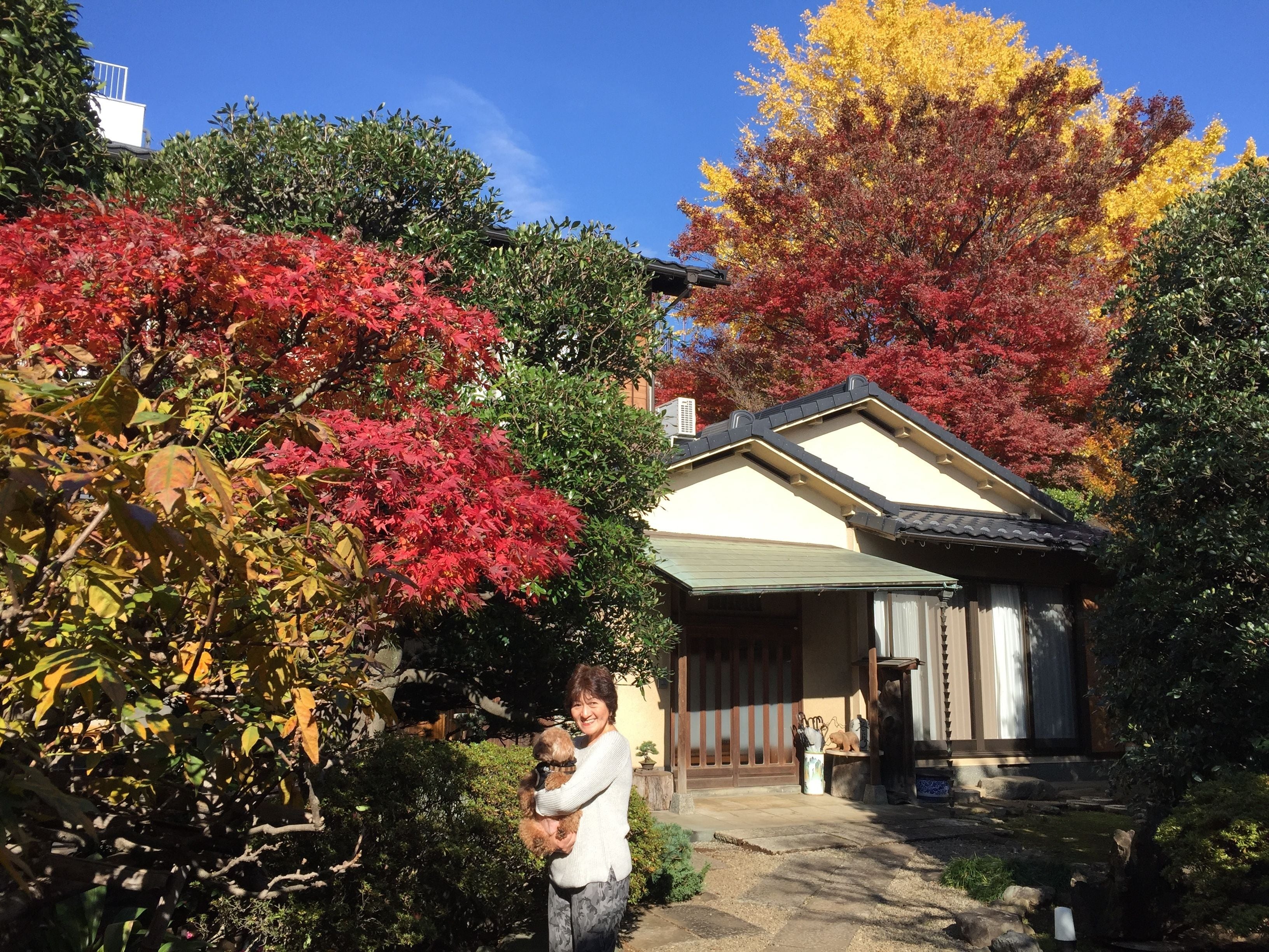 A traditional Japanese house with a covered entrance, surrounded by autumn foliage.