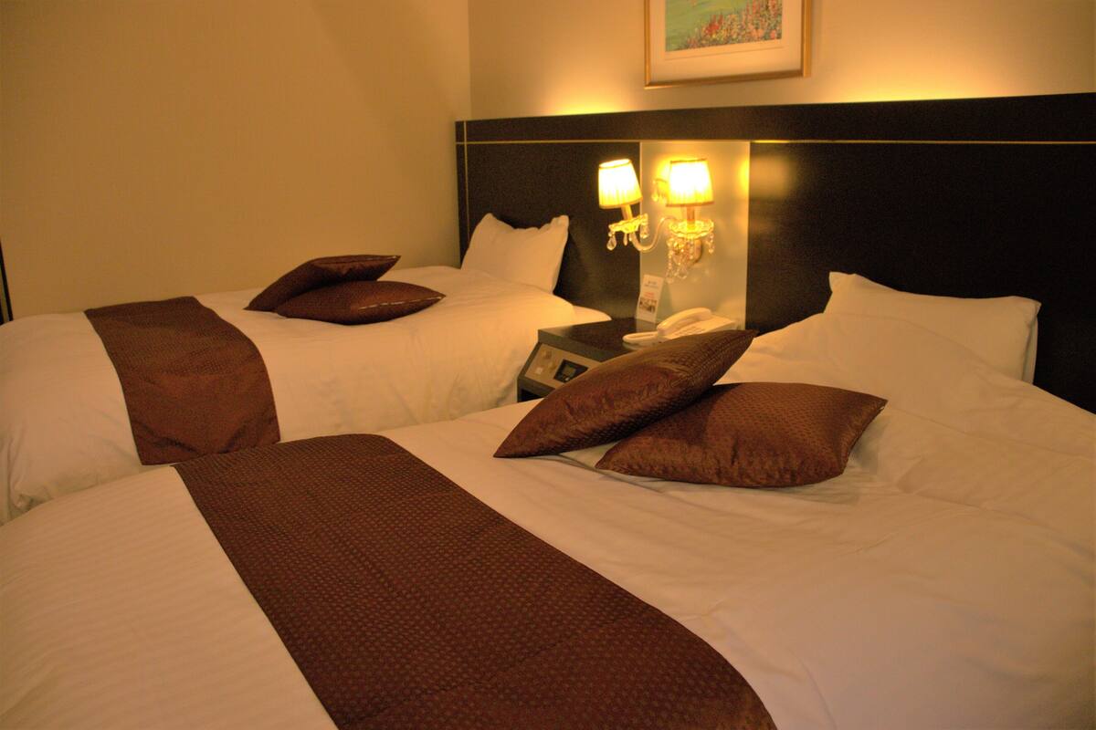 superior twin room, non smoking | desk, free wifi