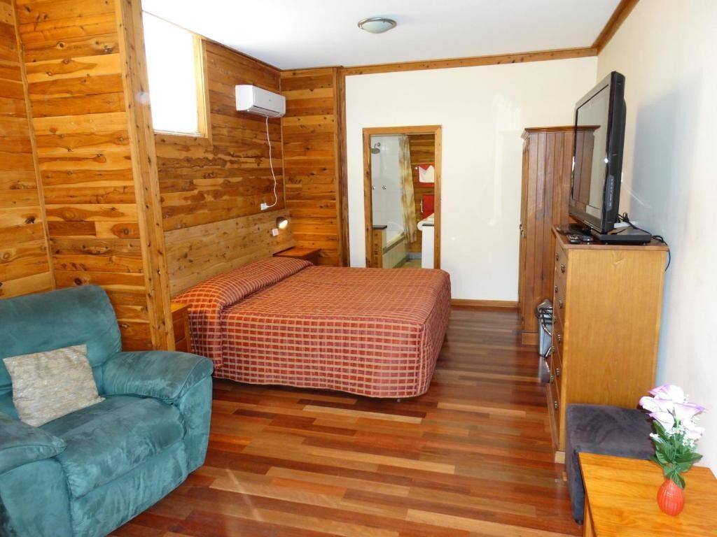 A room with wooden walls, a bed with a checkered blanket, a blue sofa, a wooden cabinet, and a television.
