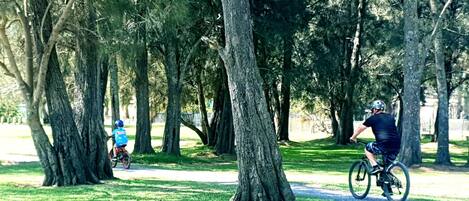 Un parque con árboles y un sendero.