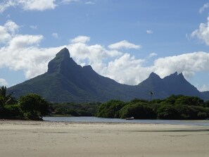 山景