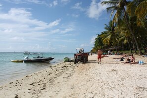 Nära stranden