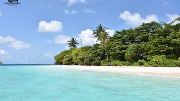 Playa en los alrededores