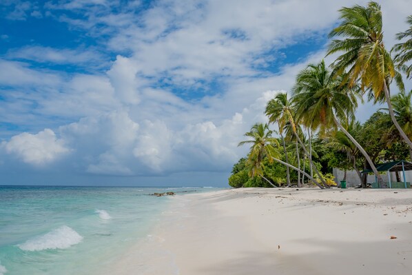 Tæt på stranden